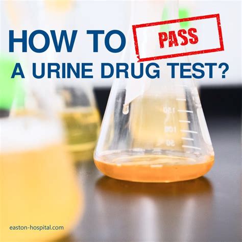 is a lab urine test harder to pass|can a drug test detect false urine.